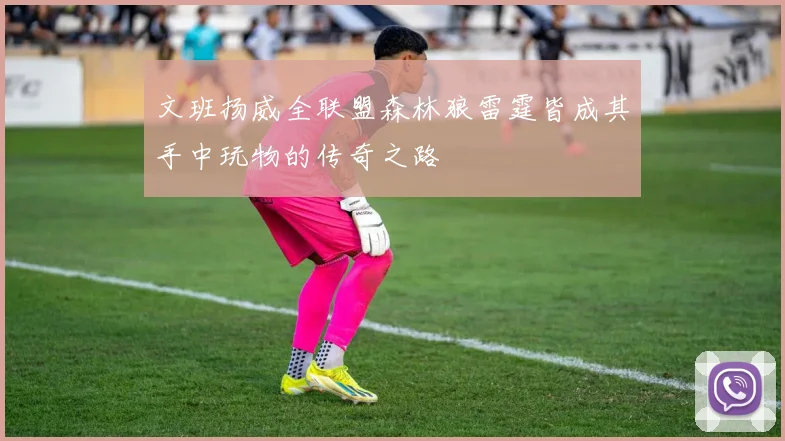文班扬威全联盟森林狼雷霆皆成其手中玩物的传奇之路