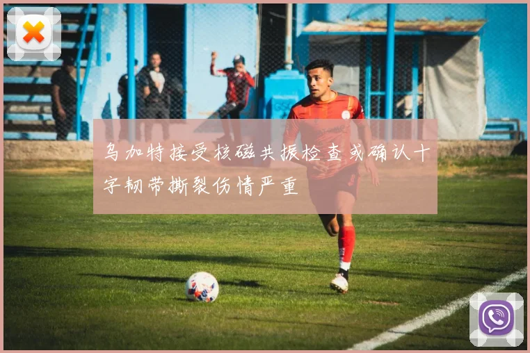 乌加特接受核磁共振检查或确认十字韧带撕裂伤情严重